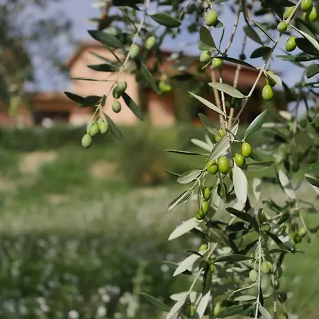Le Rapacciole Alojamento de Acomodação e Pequeno-almoço
