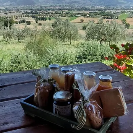 Le Rapacciole Bed and breakfast Spoleto