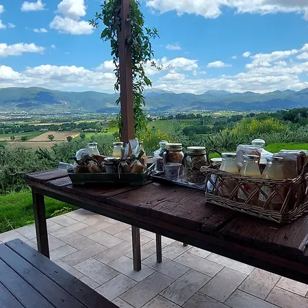 Alojamento de Acomodação e Pequeno-almoço Le Rapacciole