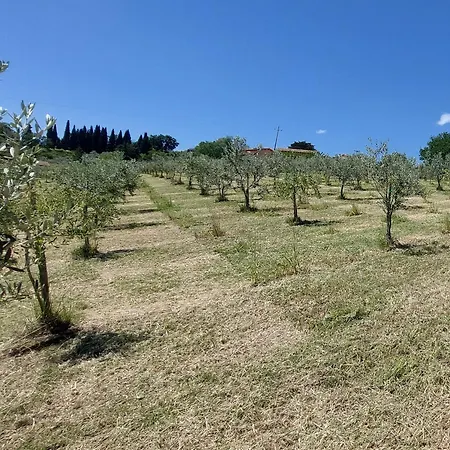 Le Rapacciole Spoleto