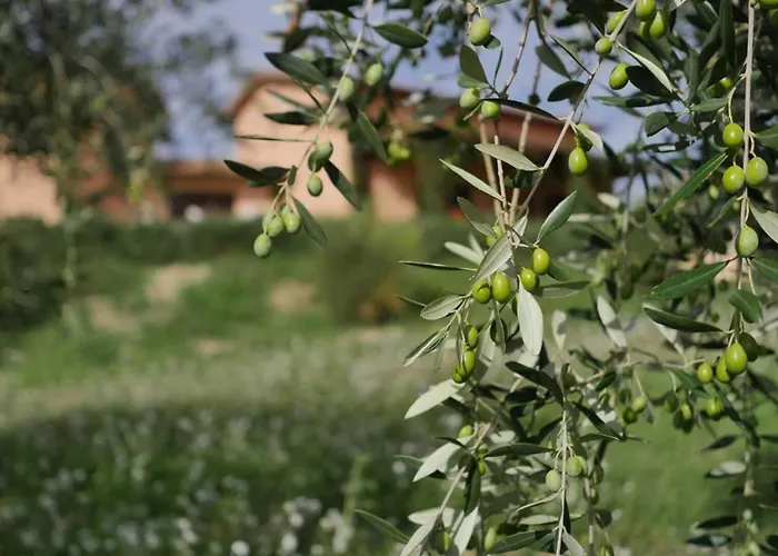 Le Rapacciole Bed & Breakfast