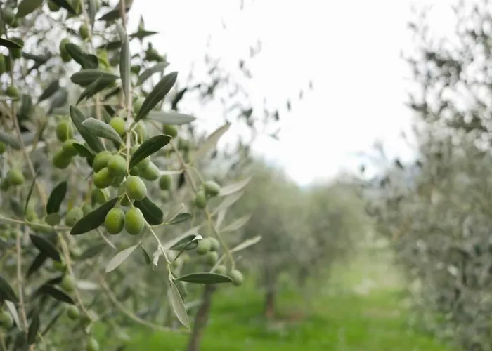 Le Rapacciole 4* 스폴레토