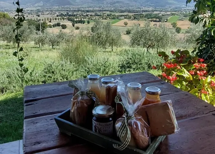 Le Rapacciole B&B 스폴레토