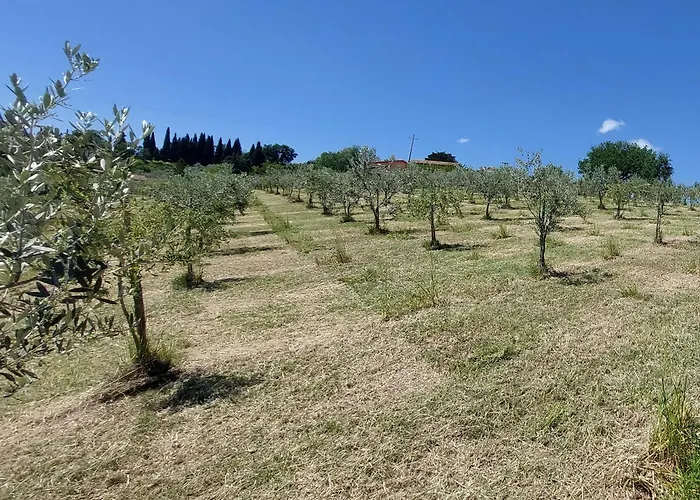 Le Rapacciole Spoleto